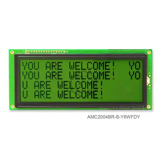 AMC2004BR-B-Y6WFDY - Orient Display - duplicate use 3444 - Display Modules - LCD, OLED Character and Numeric