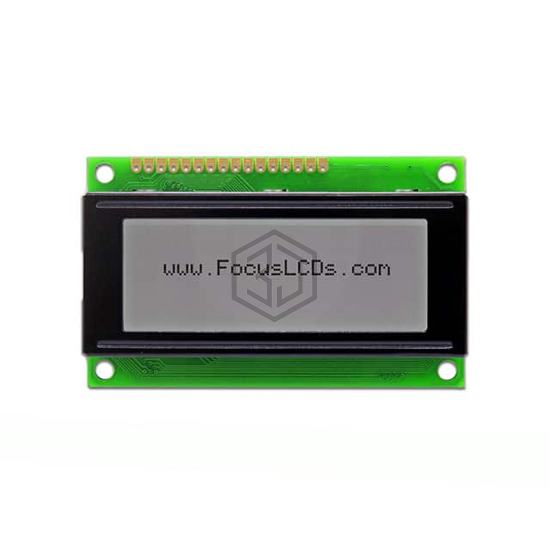C204CXBSGSW6WT33XAA - Focus LCDs - Display Modules - LCD, OLED Character and Numeric