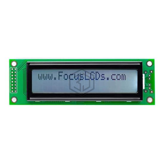 C202B-FTW-LW65 - Focus LCDs - Display Modules - LCD, OLED Character and Numeric
