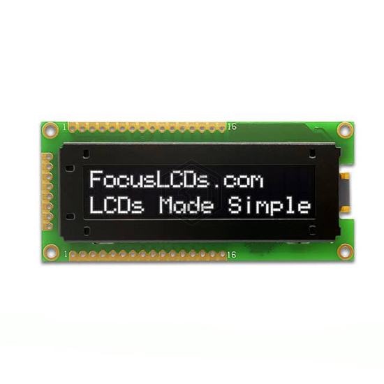 O162B-CW-SS5 - Focus LCDs - Display Modules - LCD, OLED Character and Numeric