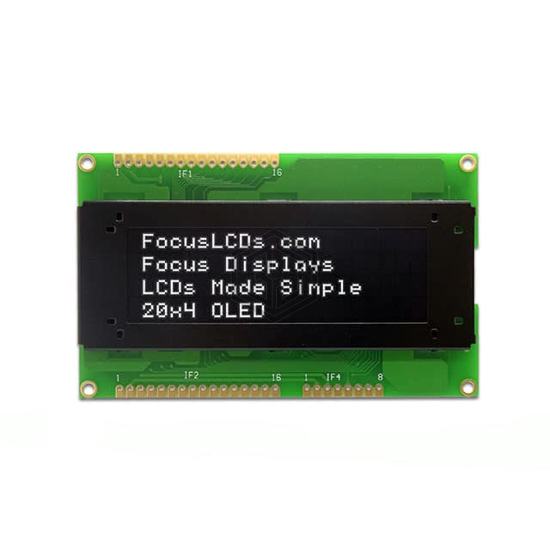 O204A-CW-SW3 - Focus LCDs - Display Modules - LCD, OLED Character and Numeric