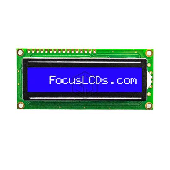 C161A-BW-LW65 - Focus LCDs - Display Modules - LCD, OLED Character and Numeric