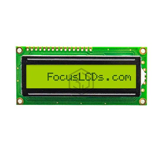 C161A-YTY-LW65 - Focus LCDs - Display Modules - LCD, OLED Character and Numeric