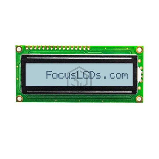 C161A-FTW-LW65 - Focus LCDs - Display Modules - LCD, OLED Character and Numeric