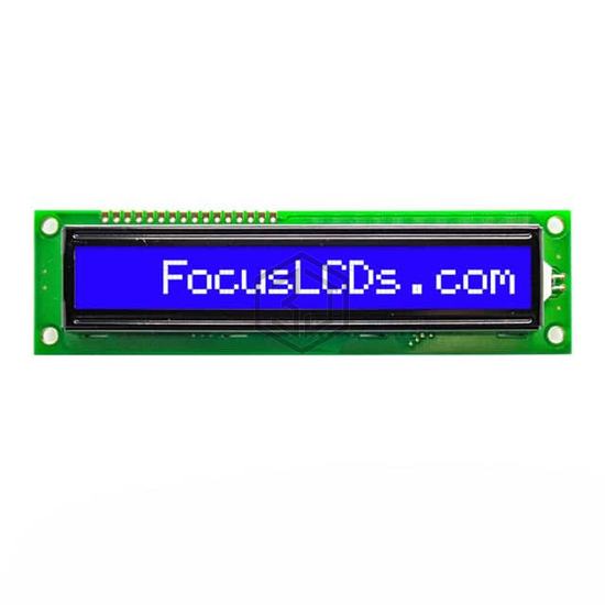 C161B-BW-LW65 - Focus LCDs - Display Modules - LCD, OLED Character and Numeric