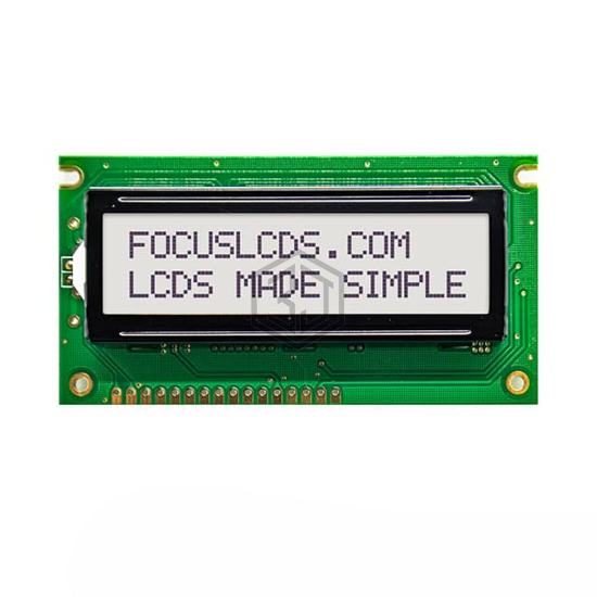C162D-FTW-LW65 - Focus LCDs - Display Modules - LCD, OLED Character and Numeric