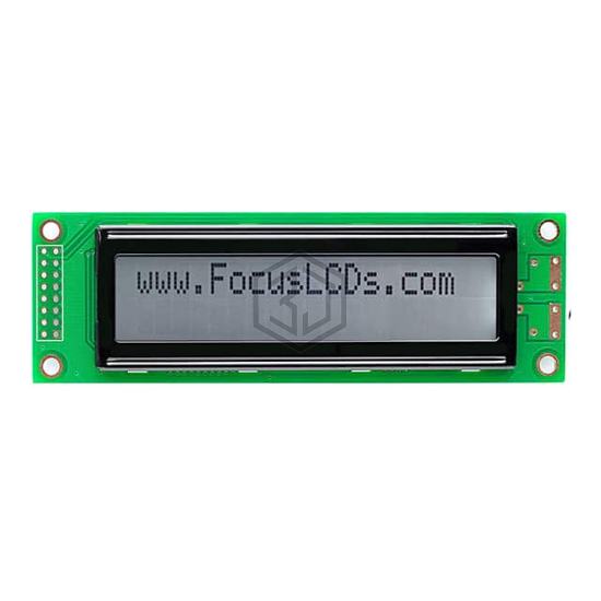 C202BXBSGN06NR3 - Focus LCDs - Display Modules - LCD, OLED Character and Numeric