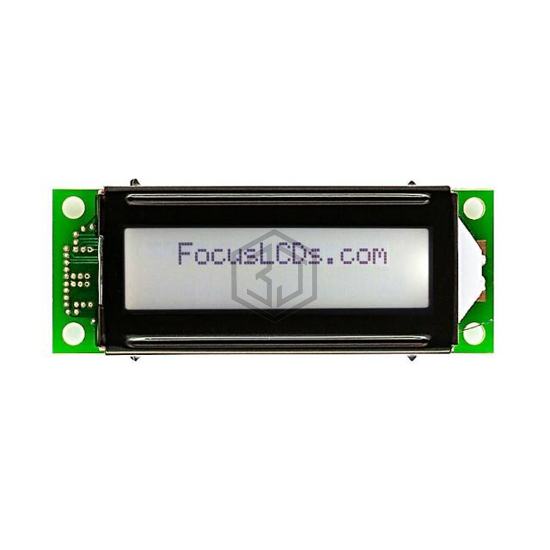 C162E-FTW-LW65 - Focus LCDs - Display Modules - LCD, OLED Character and Numeric
