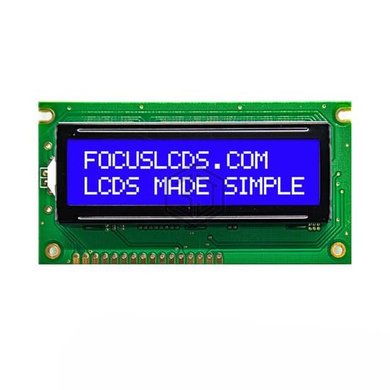 C162D-BW-LW65 - Focus LCDs - Display Modules - LCD, OLED Character and Numeric