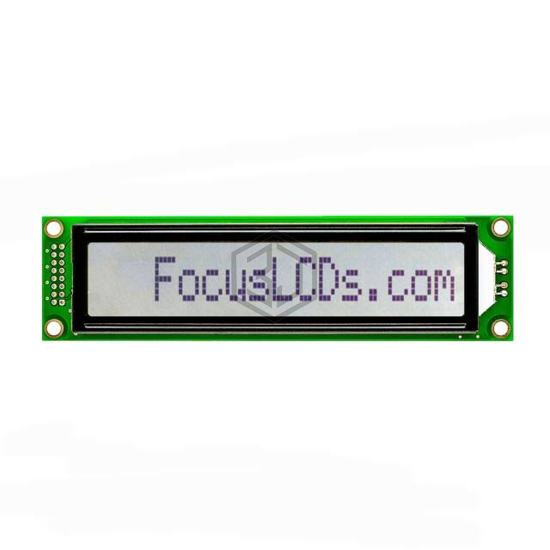 C161C-FTW-LW65 - Focus LCDs - Display Modules - LCD, OLED Character and Numeric