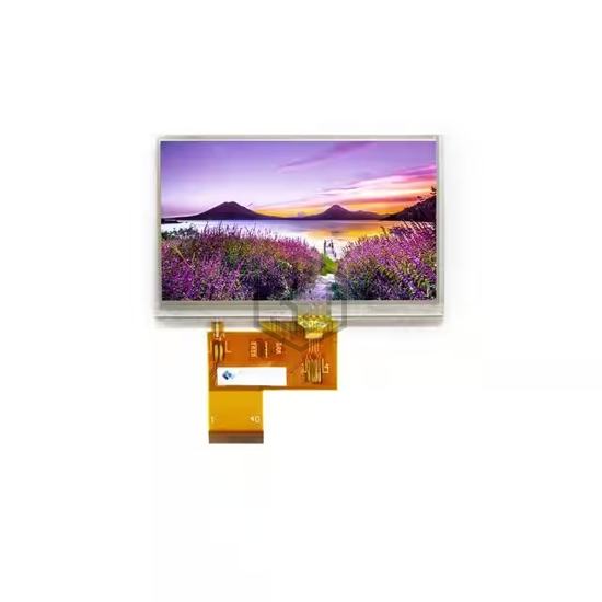 E43GA-RW1000-R - Focus LCDs - Display Modules - LCD, OLED Character and Numeric