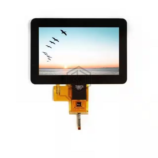 E50GB-RW850-C - Focus LCDs - Display Modules - LCD, OLED Character and Numeric