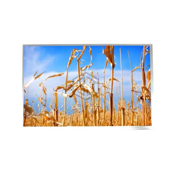 ATM1010L19 - AZ Displays - Display Modules - LCD, OLED, Graphic