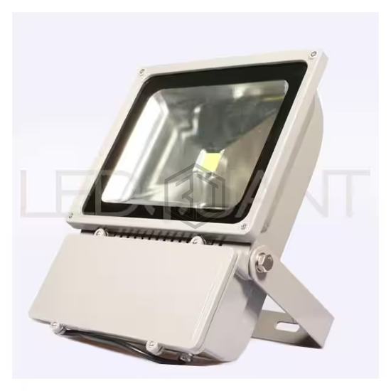 FL-100W-CW - LEDQuant - LED Lighting - COBs, Engines, Modules, Strips