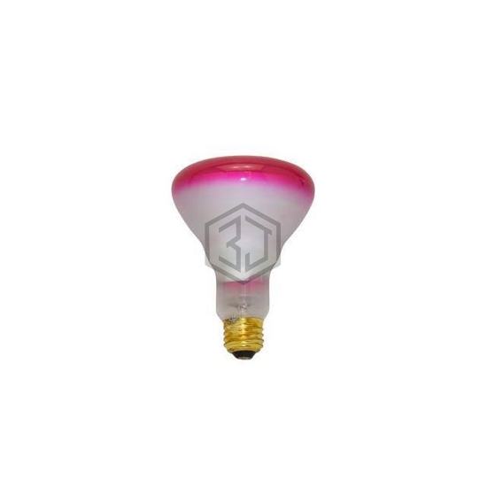 WW-D4Z6-3 - Interlight - Lamps - Incandescents, Neons