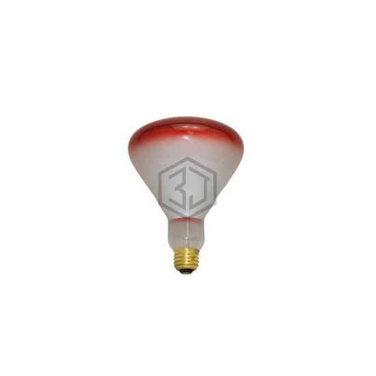 WW-FLHT-3 - Interlight - Lamps - Incandescents, Neons