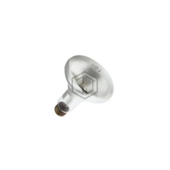 WX-EH36-8 - Interlight - Lamps - Incandescents, Neons