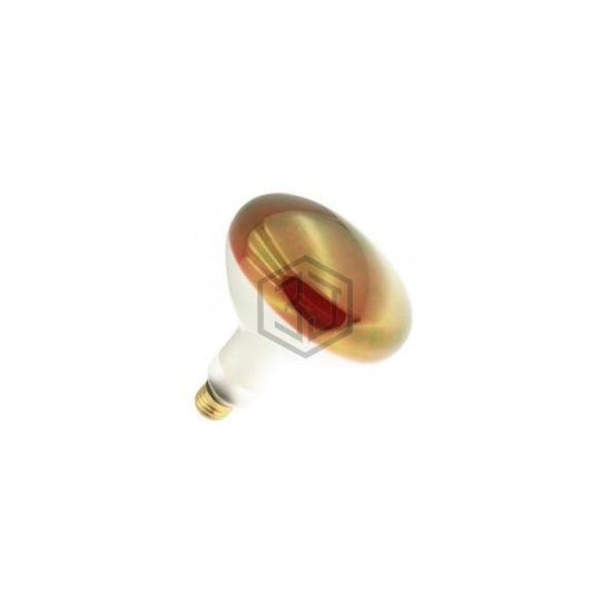 WX-EJE8-9 - Interlight - Lamps - Incandescents, Neons