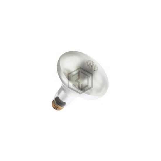 WX-EH2Y-6 - Interlight - Lamps - Incandescents, Neons
