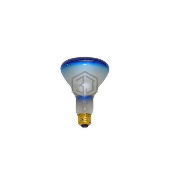 WW-73E8-9 - Interlight - Lamps - Incandescents, Neons