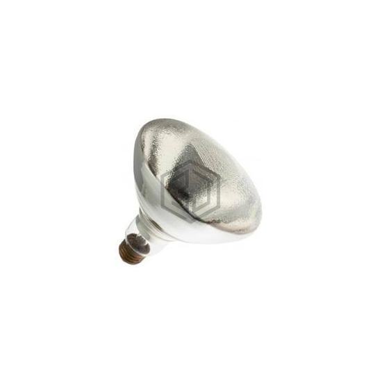 WX-EE74-9 - Interlight - Lamps - Incandescents, Neons