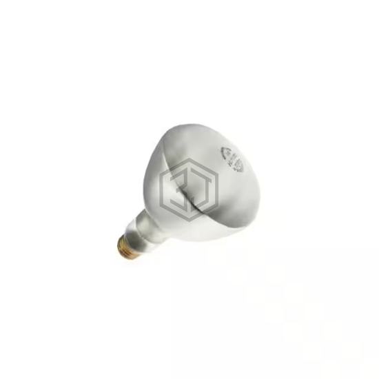 WX-EEWL-6 - Interlight - Lamps - Incandescents, Neons