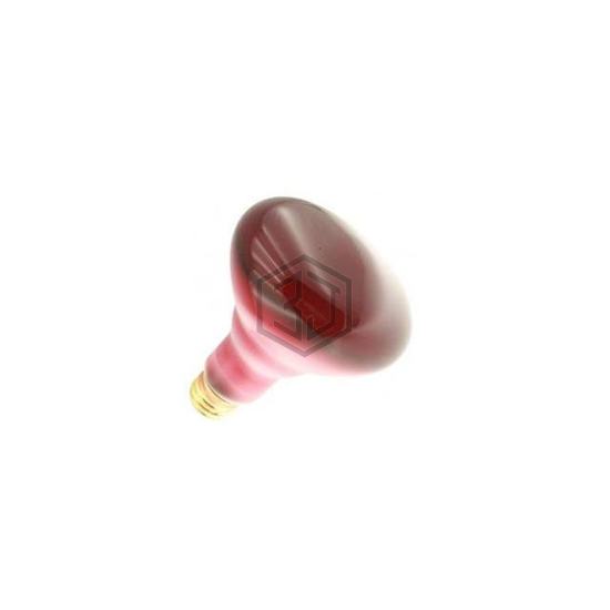 WX-EF7C-1 - Interlight - Lamps - Incandescents, Neons