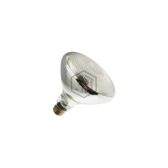 WX-EE9H-7 - Interlight - Lamps - Incandescents, Neons