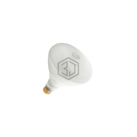 WX-EFDL-6 - Interlight - Lamps - Incandescents, Neons