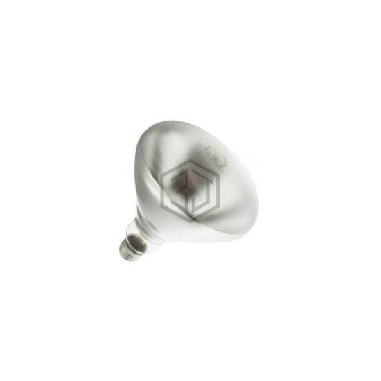 WX-EE8W-2 - Interlight - Lamps - Incandescents, Neons