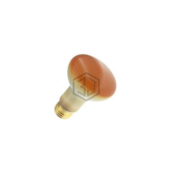 WX-EQE2-1 - Interlight - Lamps - Incandescents, Neons