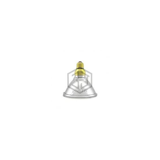 WX-EQH1-2 - Interlight - Lamps - Incandescents, Neons