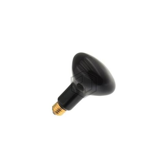 WW-FLWR-2 - Interlight - Lamps - Incandescents, Neons