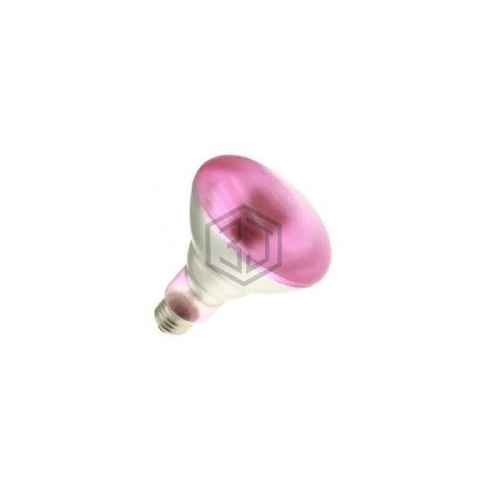 WX-EJT8-9 - Interlight - Lamps - Incandescents, Neons