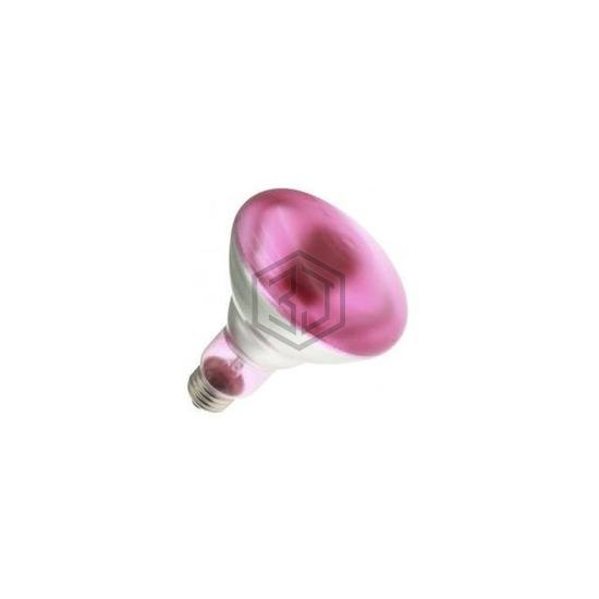 WX-EKVQ-6 - Interlight - Lamps - Incandescents, Neons