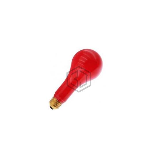 WX-EQD7-5 - Interlight - Lamps - Incandescents, Neons
