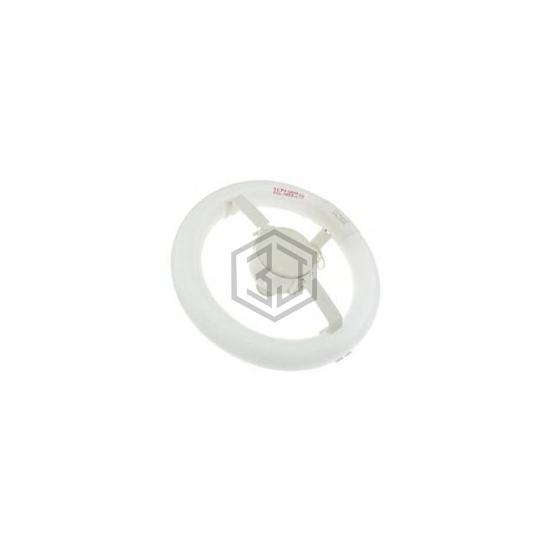 WX-EGX9-0 - Interlight - Lamps - Incandescents, Neons