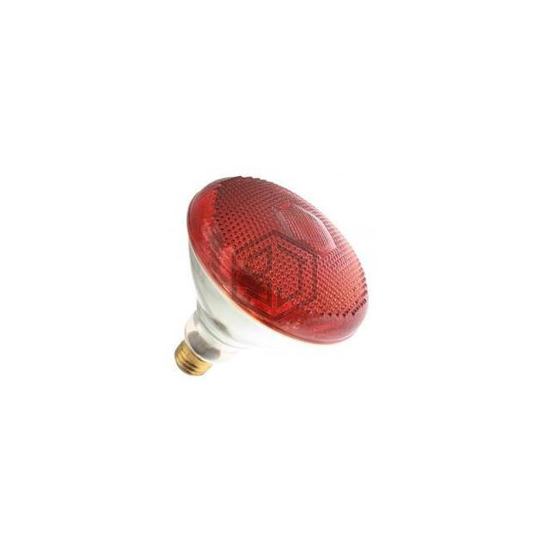 WX-EJZ4-6 - Interlight - Lamps - Incandescents, Neons