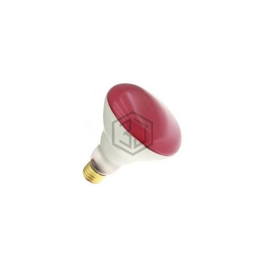 WX-EHTW-4 - Interlight - Lamps - Incandescents, Neons