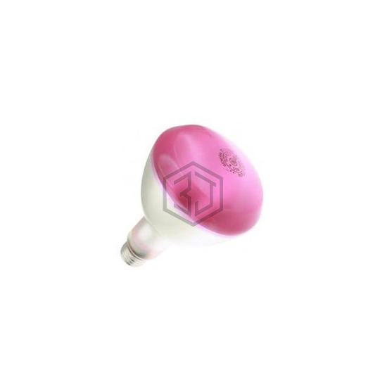 WX-ELQ1-3 - Interlight - Lamps - Incandescents, Neons