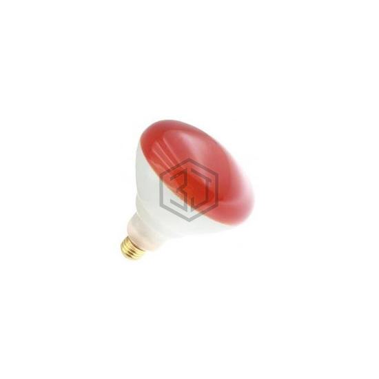 WX-EK35-3 - Interlight - Lamps - Incandescents, Neons