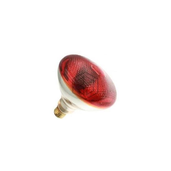 WX-EE6K-2 - Interlight - Lamps - Incandescents, Neons