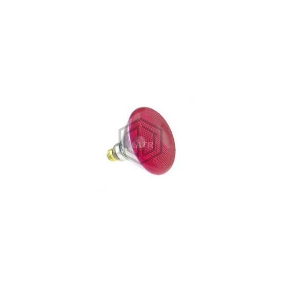 WX-EE6S-1 - Interlight - Lamps - Incandescents, Neons