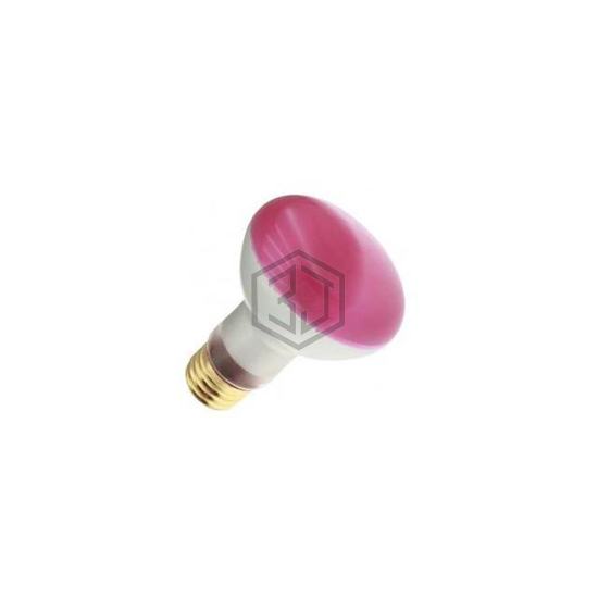 WX-EHW9-1 - Interlight - Lamps - Incandescents, Neons