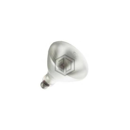 WX-EE8V-7 - Interlight - Lamps - Incandescents, Neons