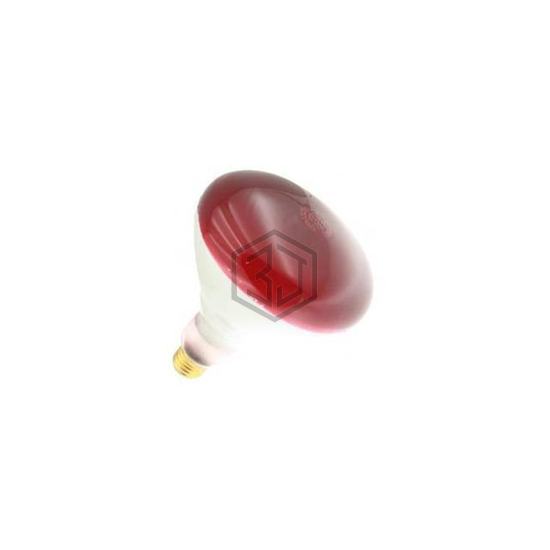 WX-EHW6-8 - Interlight - Lamps - Incandescents, Neons
