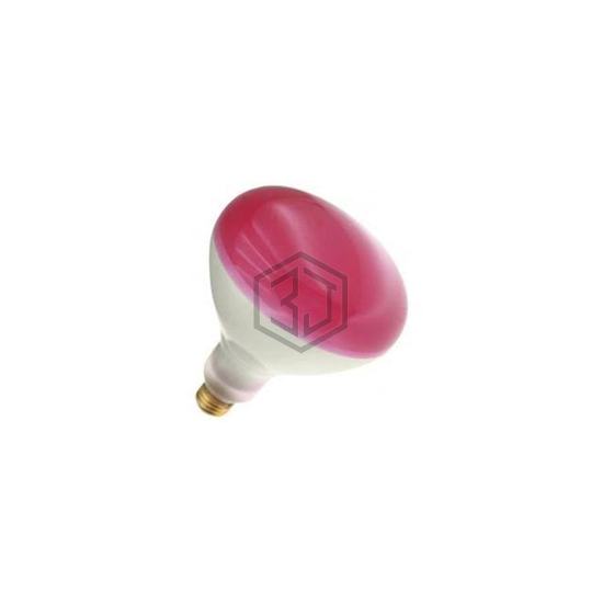 WX-EFDK-7 - Interlight - Lamps - Incandescents, Neons