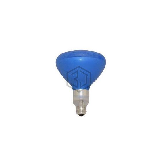 WW-2UF7-3 - Interlight - Lamps - Incandescents, Neons