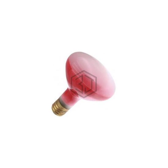 WX-EJ9K-7 - Interlight - Lamps - Incandescents, Neons
