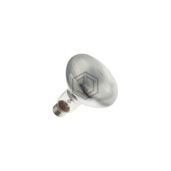WX-EGYF-3 - Interlight - Lamps - Incandescents, Neons